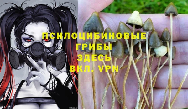 MESCALINE Белокуриха
