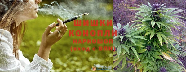 ГАЛЛЮЦИНОГЕННЫЕ ГРИБЫ Белоозёрский