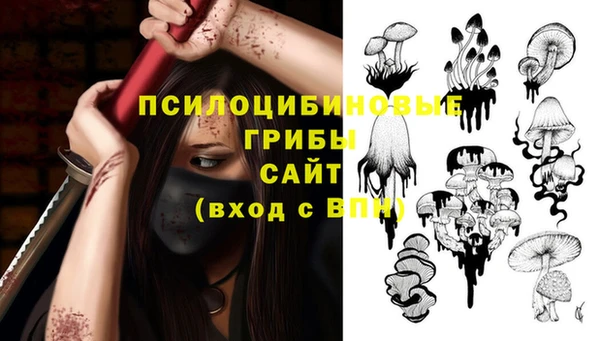ГАЛЛЮЦИНОГЕННЫЕ ГРИБЫ Белоозёрский