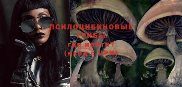 ГАЛЛЮЦИНОГЕННЫЕ ГРИБЫ Белоозёрский