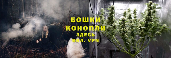 MESCALINE Белокуриха