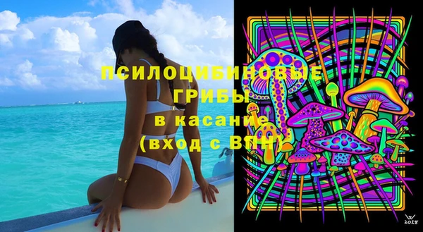 ГАЛЛЮЦИНОГЕННЫЕ ГРИБЫ Белоозёрский