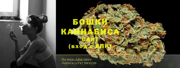 ГАЛЛЮЦИНОГЕННЫЕ ГРИБЫ Белоозёрский