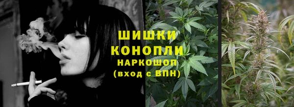 ГАЛЛЮЦИНОГЕННЫЕ ГРИБЫ Белоозёрский